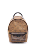 Pre-OwnedLouis Vuitton Pre-Owned2017 Palm Springs backpack