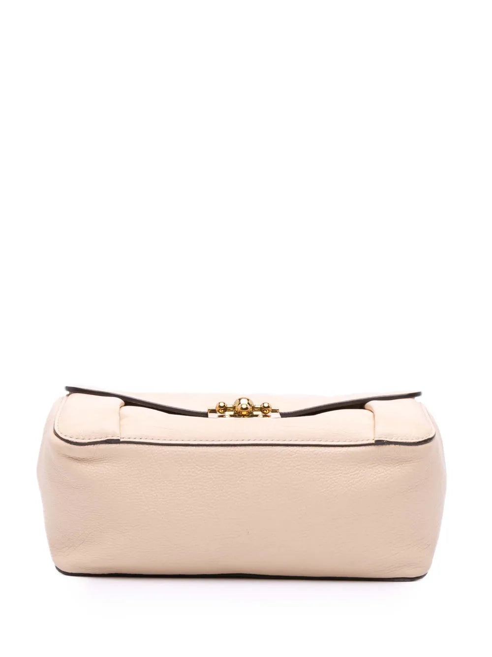 Pre-OwnedChlo?Pre-Owned2010-2025 Medium Goatskin Elsie crossbody bag