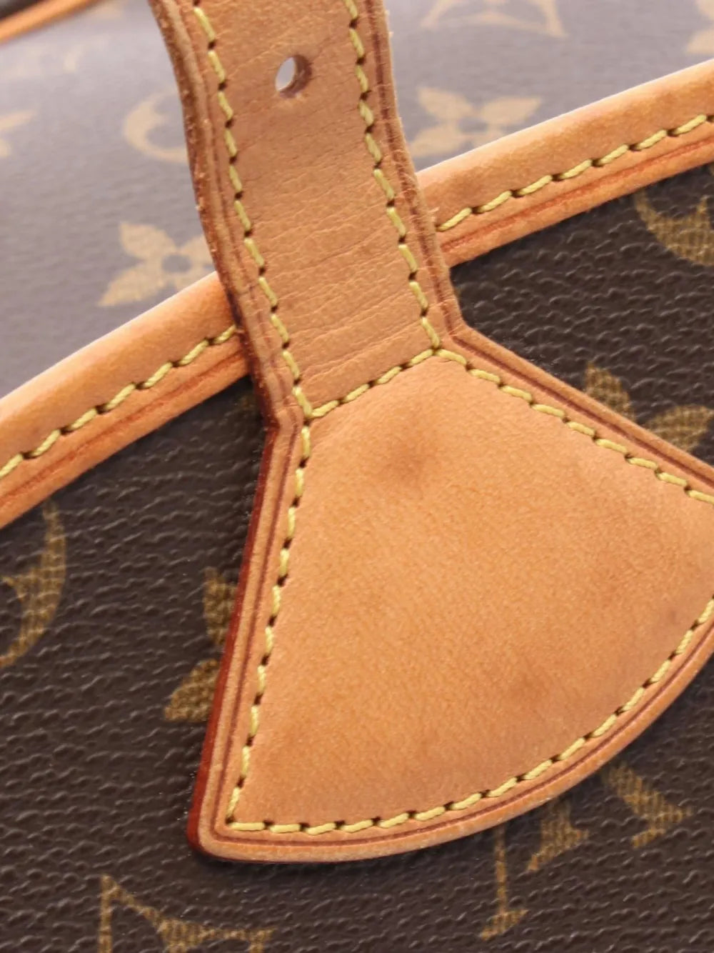 Pre-OwnedLouis Vuitton Pre-Owned2006 Sologne monogram shoulder bag