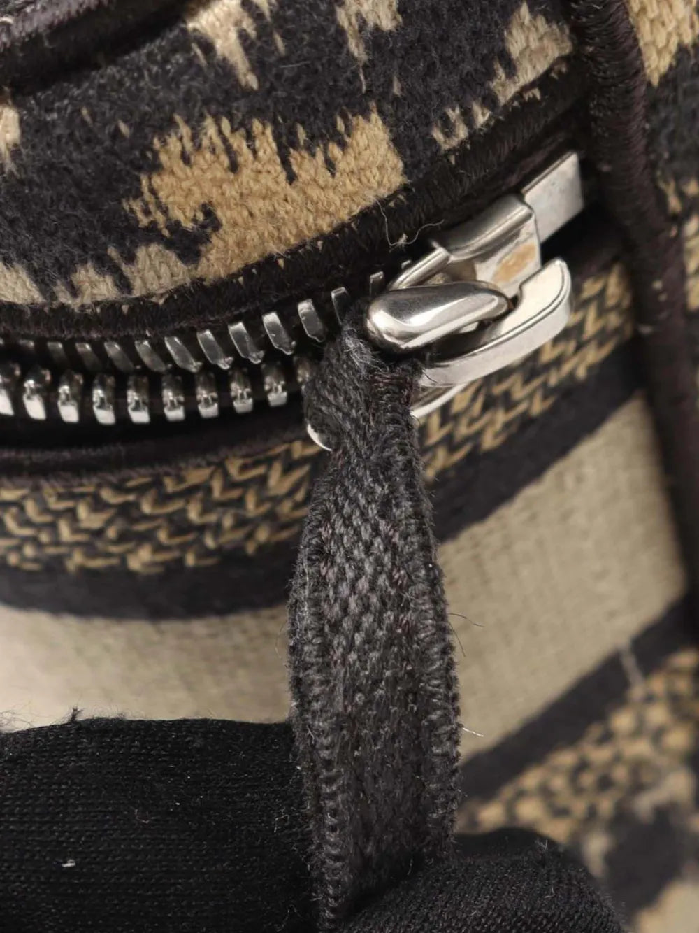 Pre-OwnedChristian Dior Pre-Owned2021 Mizza Small Embroidered Canvas Diortravel Leopard Vanity Case satchel
