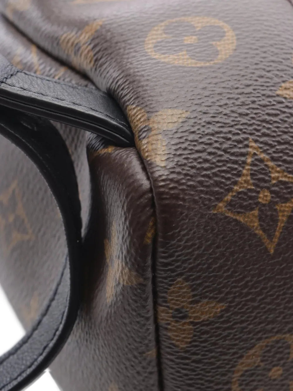 Pre-OwnedLouis Vuitton Pre-Owned2021 Palm Springs PM monogram backpack