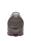 Pre-OwnedLouis Vuitton Pre-Owned2021 Palm Springs PM monogram backpack