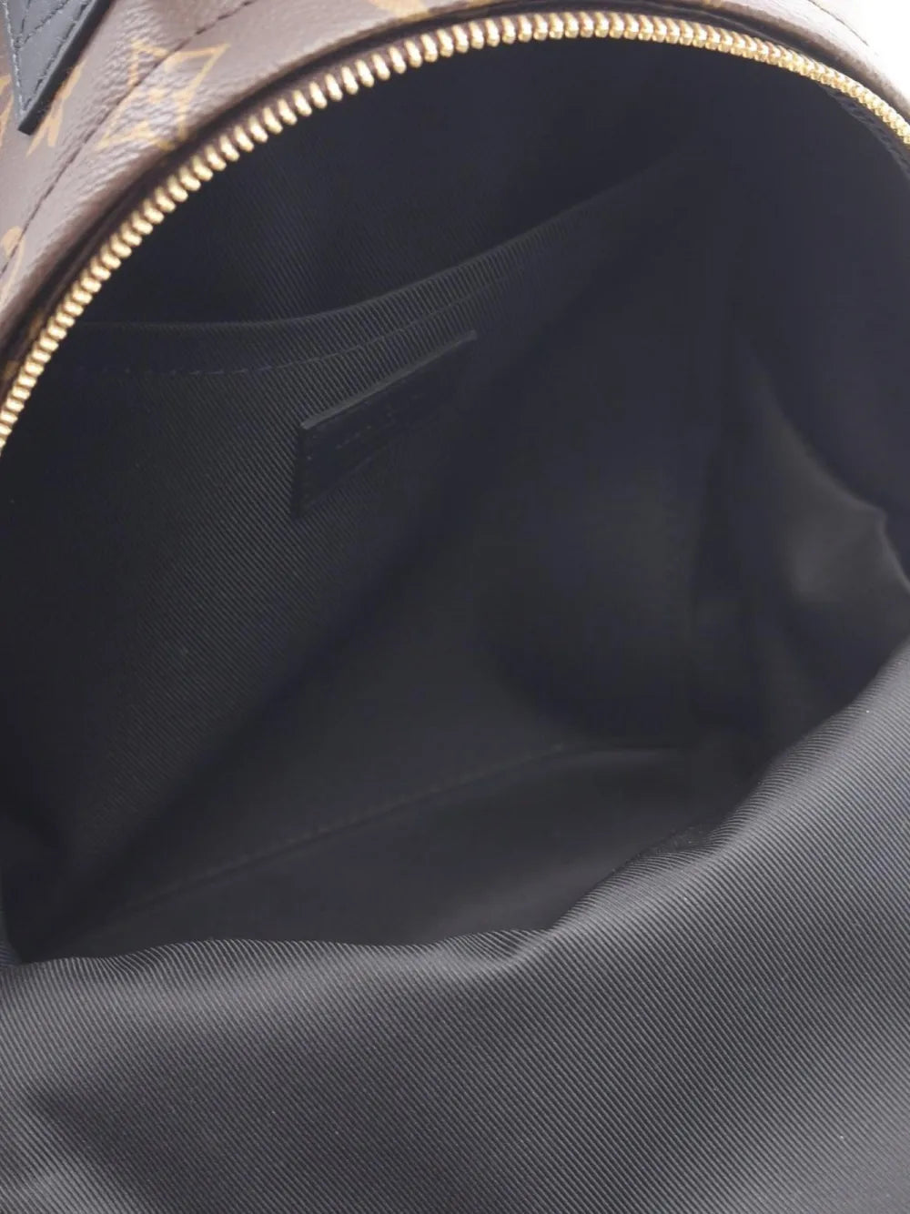 Pre-OwnedLouis Vuitton Pre-Owned2021 Palm Springs PM monogram backpack