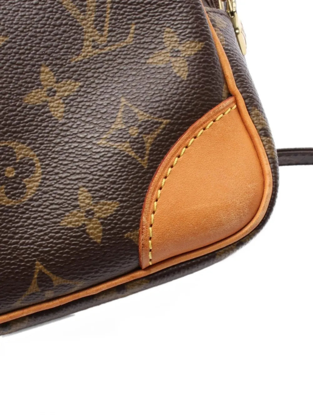 Pre-OwnedLouis Vuitton Pre-Owned2006 Amazon monogram shoulder