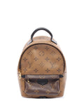 Pre-OwnedLouis Vuitton Pre-Owned2017 Monogram Reverse Mini Palm Springs backpack