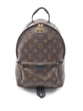 Pre-OwnedLouis Vuitton Pre-Owned2019 Monogram Palm Springs PM backpack