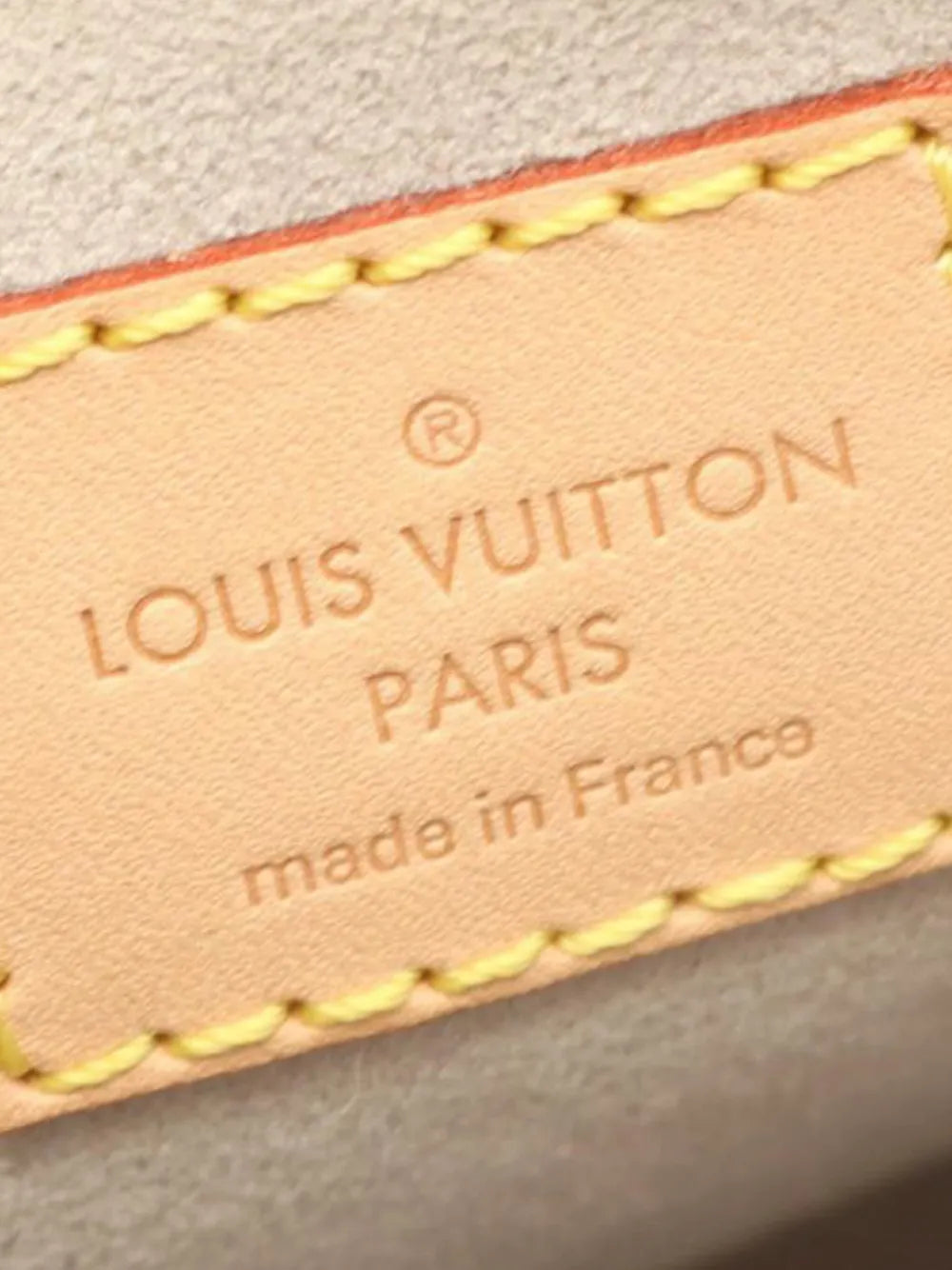 Pre-OwnedLouis Vuitton Pre-Owned2021 Monogram Giant By The Pool Tiny backpack