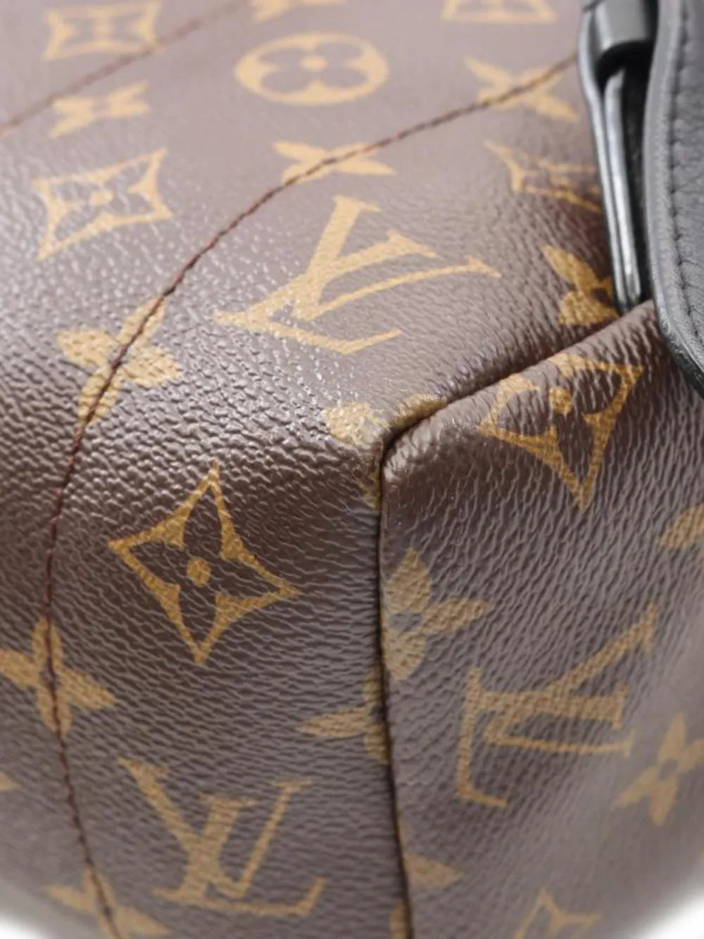 Pre-OwnedLouis Vuitton Pre-OwnedPalm Springs MM backpack