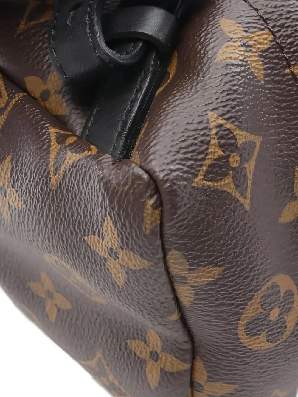 Pre-OwnedLouis Vuitton Pre-OwnedPalm Springs PM monogran backpack
