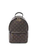 Pre-OwnedLouis Vuitton Pre-OwnedPalm Springs PM monogran backpack