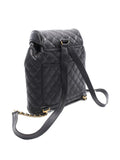 Pre-OwnedCHANEL Pre-OwnedMatelassé backpack