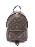 Pre-OwnedLouis Vuitton Pre-OwnedPalm Springs PM backpack