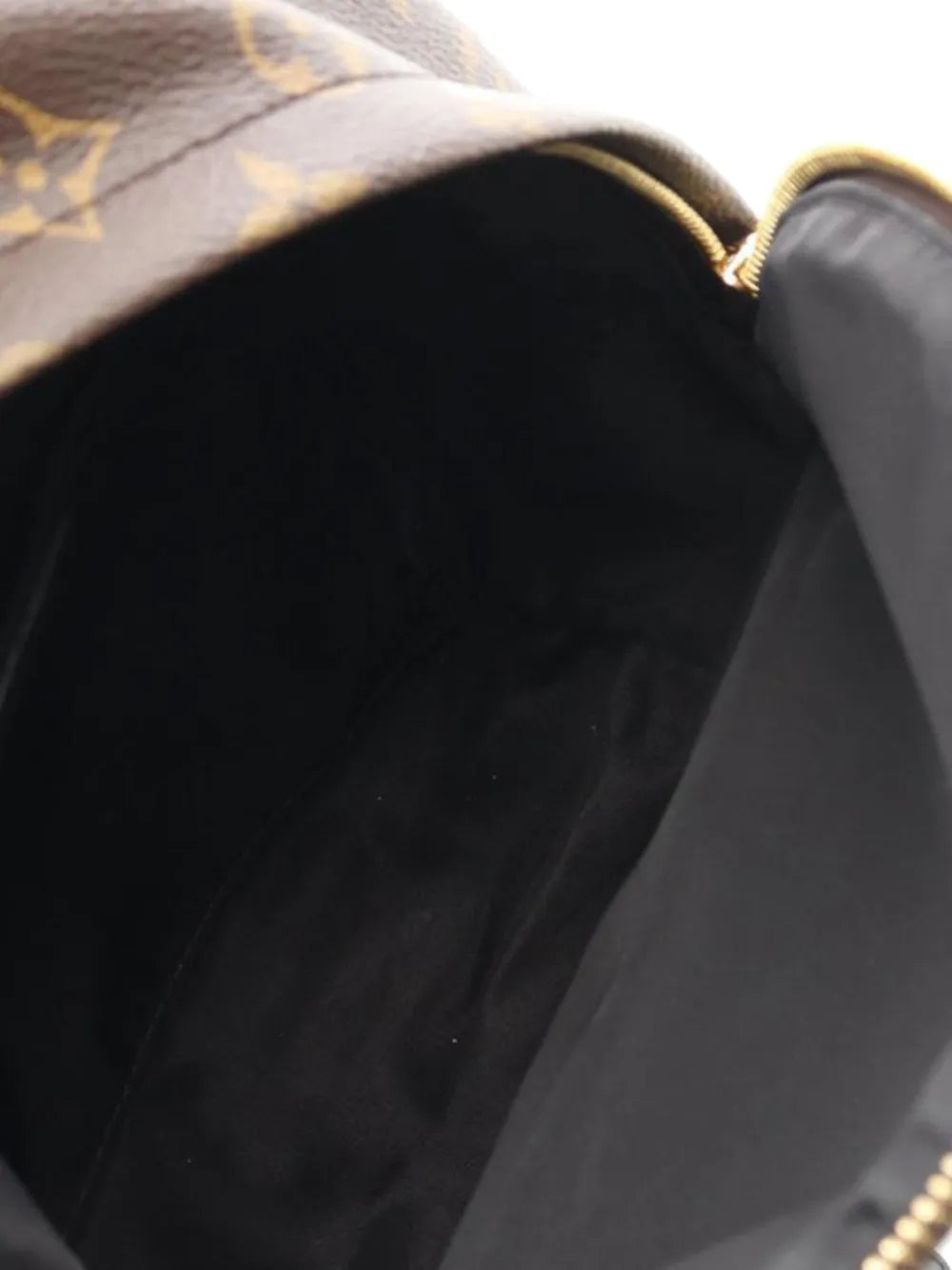 Pre-OwnedLouis Vuitton Pre-Owned2015 Monogram Palm Springs PM backpack