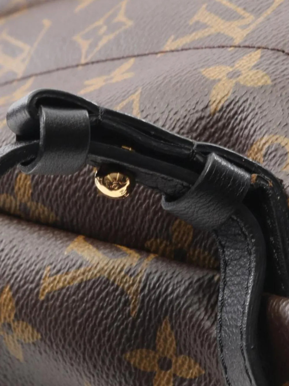 Pre-OwnedLouis Vuitton Pre-Owned2015 Monogram Palm Springs PM backpack