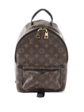 Pre-OwnedLouis Vuitton Pre-Owned2015 Monogram Palm Springs PM backpack