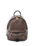 Pre-OwnedLouis Vuitton Pre-Owned2018 Monogram Canvas Palm Springs MM backpack
