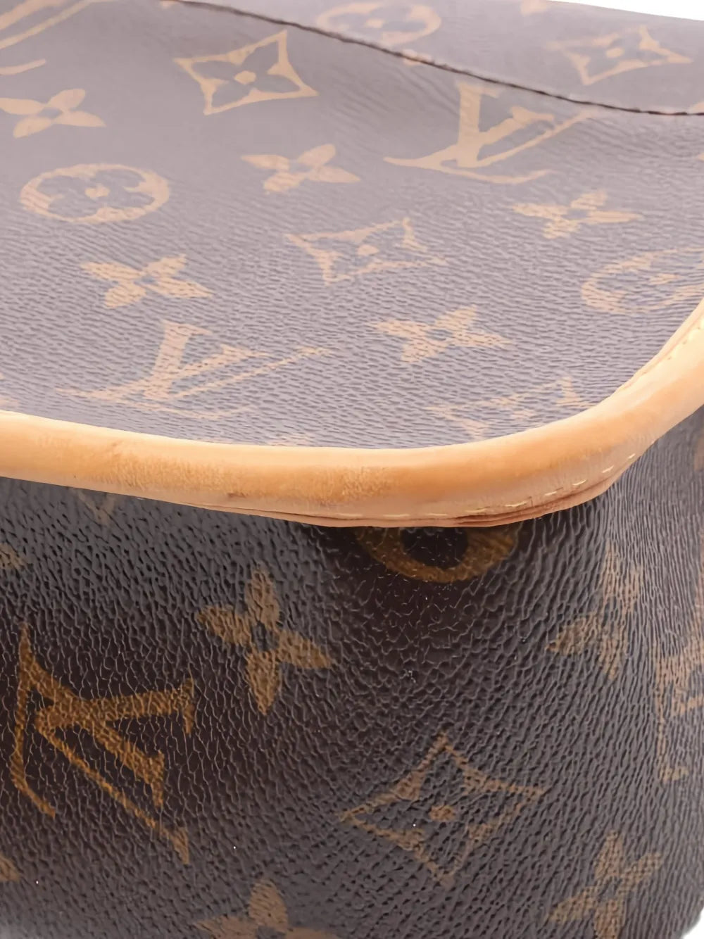 Pre-OwnedLouis Vuitton Pre-Owned2008 monogram Sologne shoulder bag