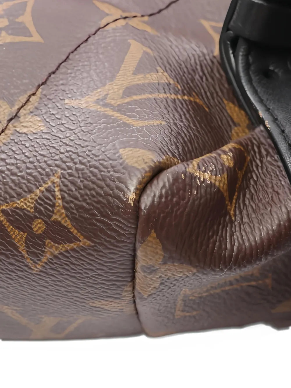 Pre-OwnedLouis Vuitton Pre-Owned2016 Palm Springs monogram backpack