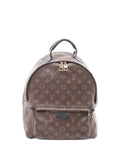Pre-OwnedLouis Vuitton Pre-Owned2016 Palm Springs monogram backpack
