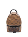 Pre-OwnedLouis Vuitton Pre-Ownedmini Palm Springs backpack