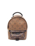 Pre-OwnedLouis Vuitton Pre-Owned2018 mini Palm Springs Reverse Monogram backpack