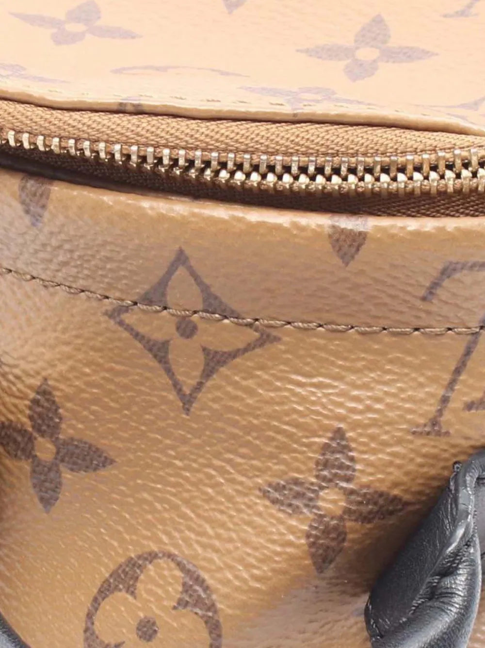 Pre-OwnedLouis Vuitton Pre-Owned2021-2025 Monogram Reverse Mini Palm Springs backpack