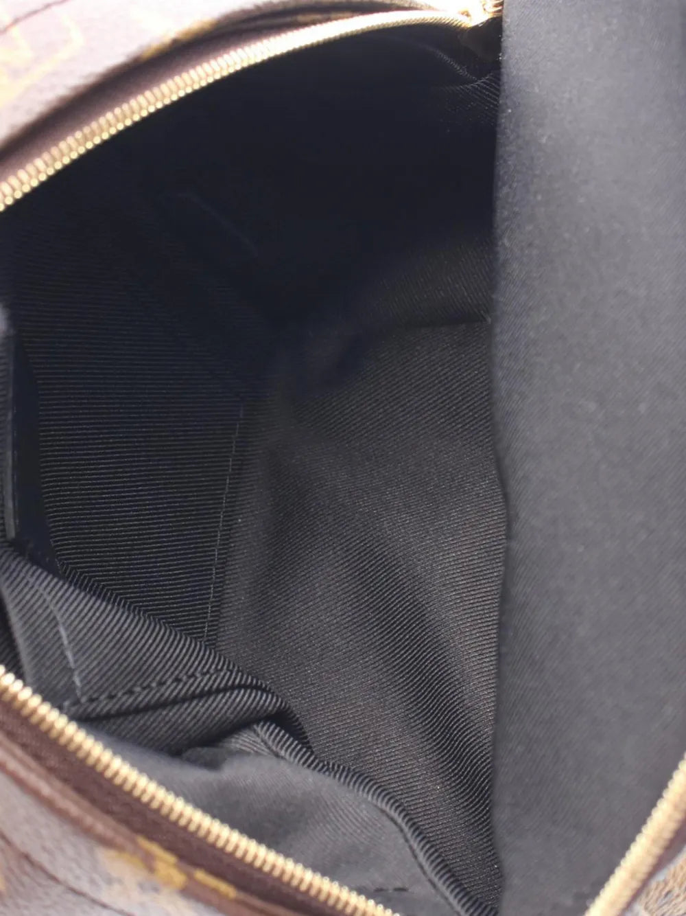 Pre-OwnedLouis Vuitton Pre-Owned2020 Monogram Mini Palm Springs backpack