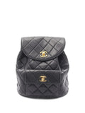 Pre-OwnedCHANEL Pre-Owned1994-1996 matelasse quilted backpack