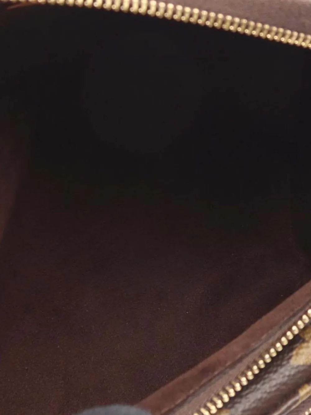 Pre-OwnedLouis Vuitton Pre-Owned2021-2025 Monogram Mini Bumbag satchel