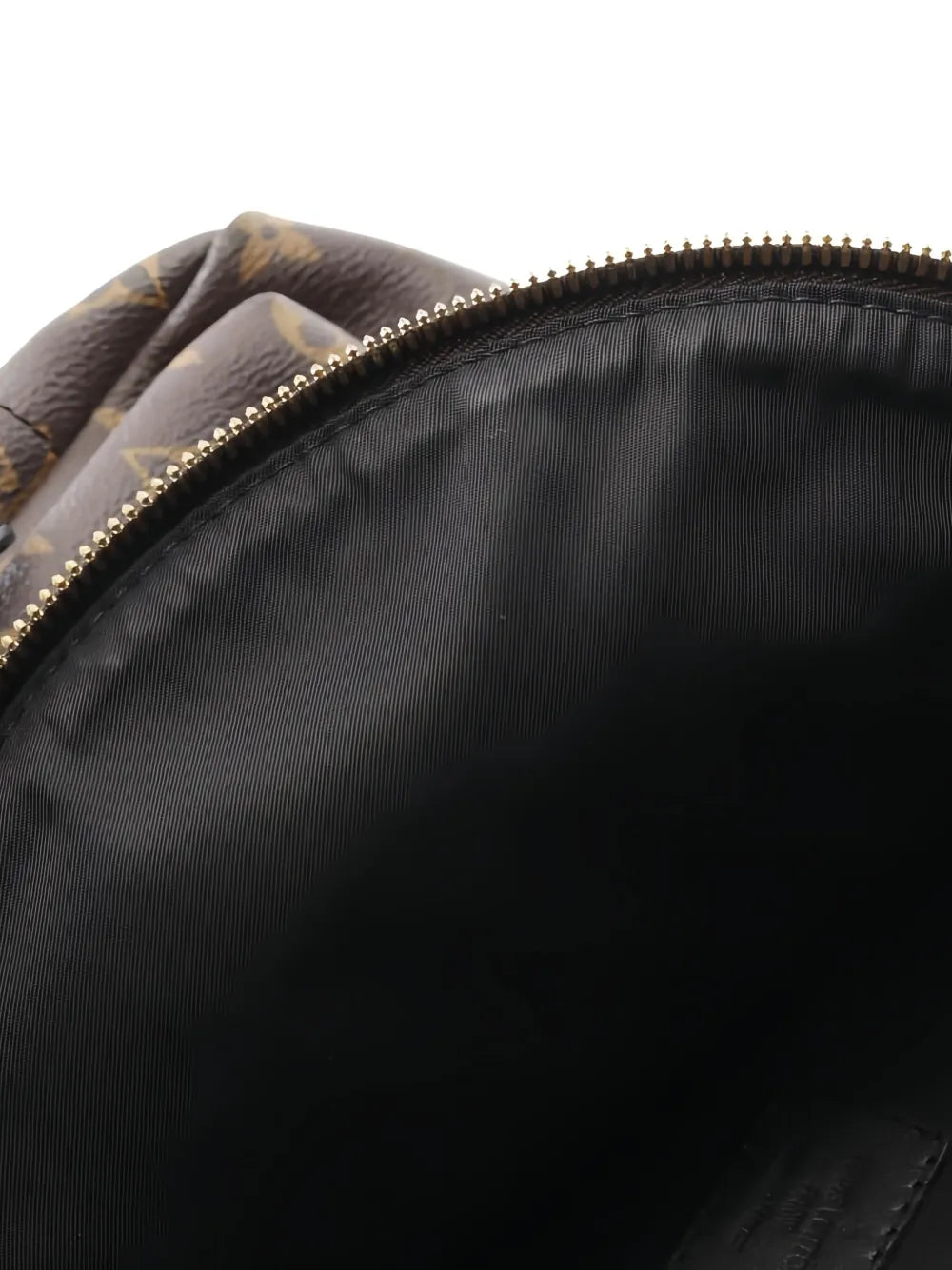 Pre-OwnedLouis Vuitton Pre-Owned2016 Palm Springs PM Monogram backpack