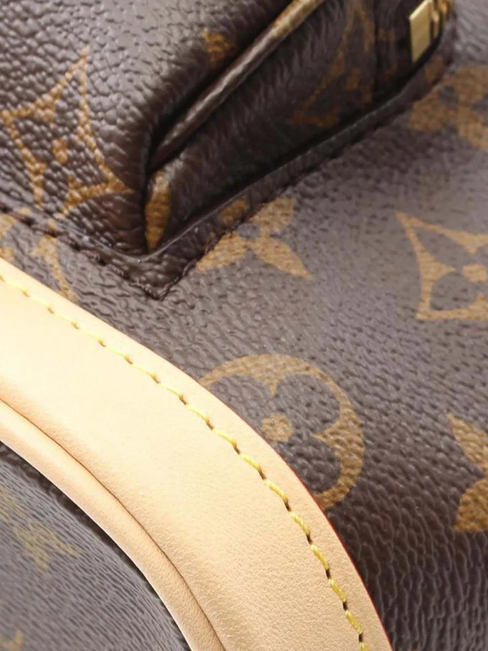 Pre-OwnedLouis Vuitton Pre-Owned2021-2025 Monogram Mini Montsouris backpack