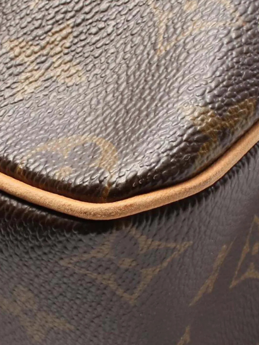 Pre-OwnedLouis Vuitton Pre-Owned2005 Monogram Viva Cite GM shoulder bag