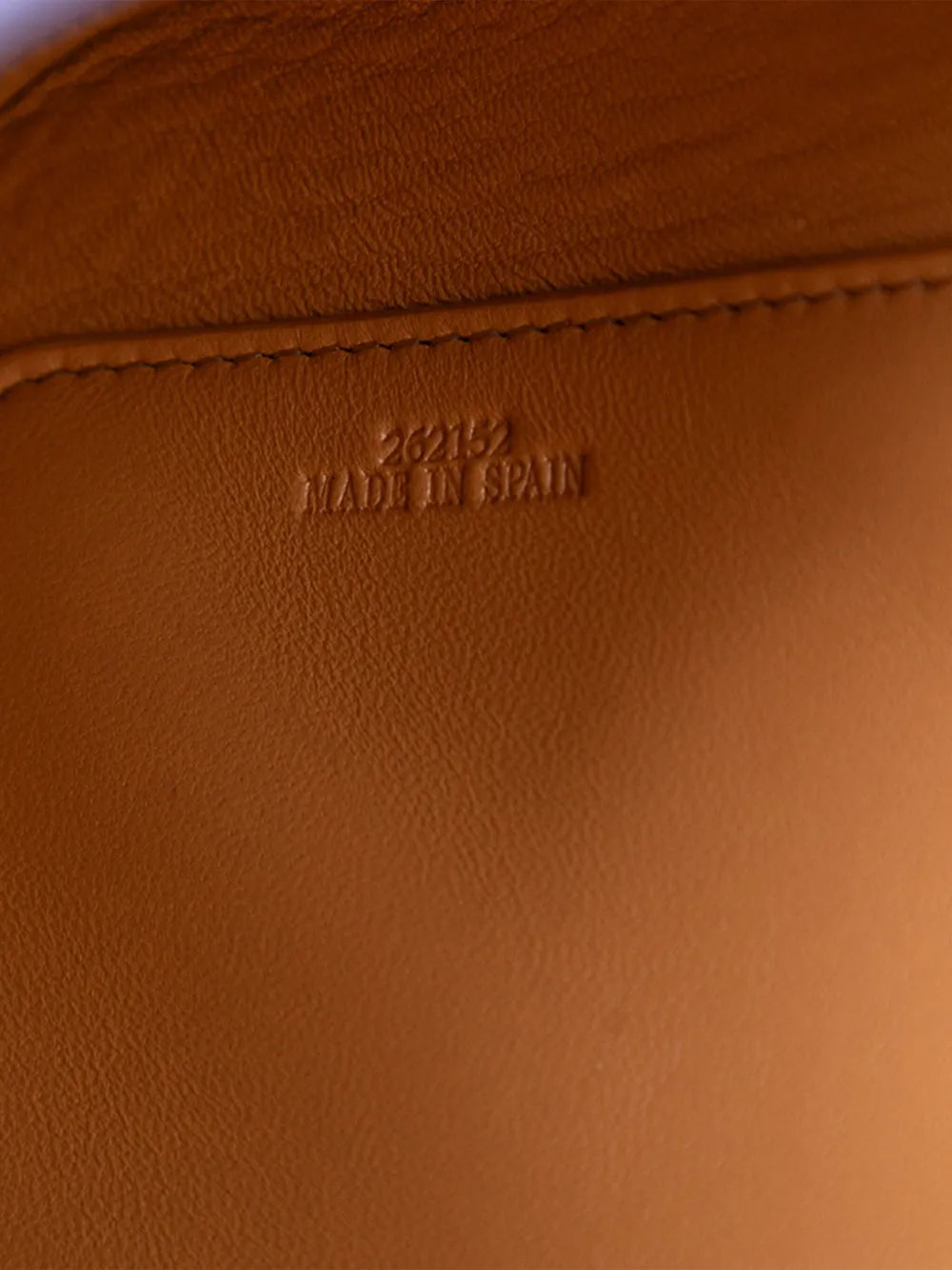 Pre-OwnedLoewe Pre-Owned2021 Medium Leather Goya crossbody bag