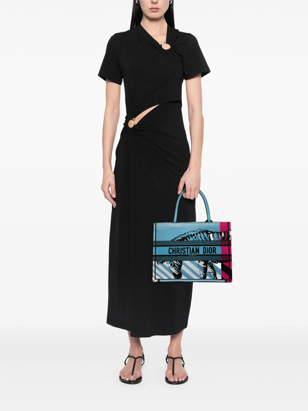 Pre-OwnedChristian Dior Pre-Owned2022 Medium Embroidered Canvas Zebra D Jungle Pop Book tote bag