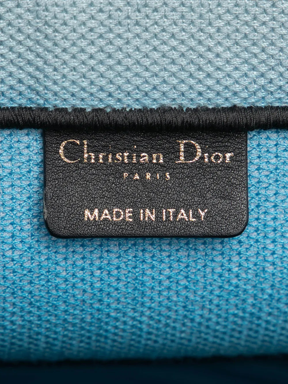 Pre-OwnedChristian Dior Pre-Owned2022 Medium Embroidered Canvas Zebra D Jungle Pop Book tote bag