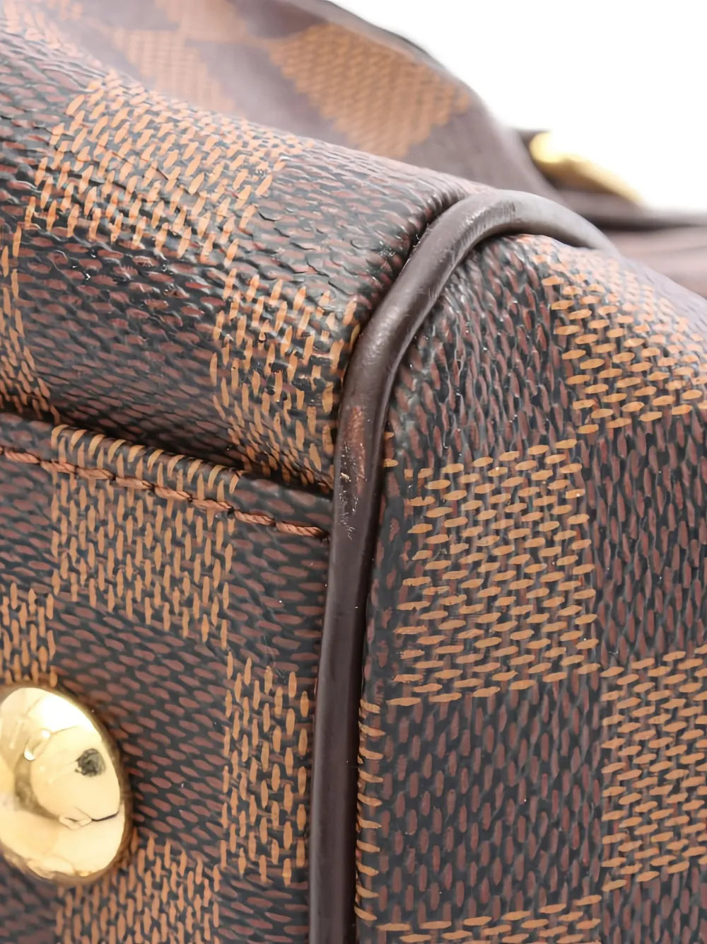 Pre-OwnedLouis Vuitton Pre-Owned2010 Damier Ebene Trevi PM tote bag