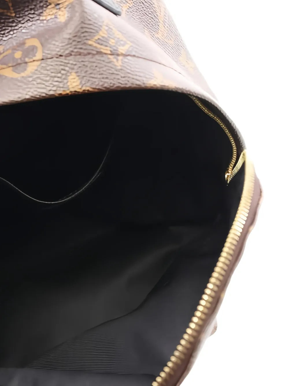 Pre-OwnedLouis Vuitton Pre-Owned2018 Monogram zip palm springs backpack