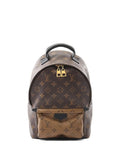 Pre-OwnedLouis Vuitton Pre-Owned2018 Monogram zip palm springs backpack