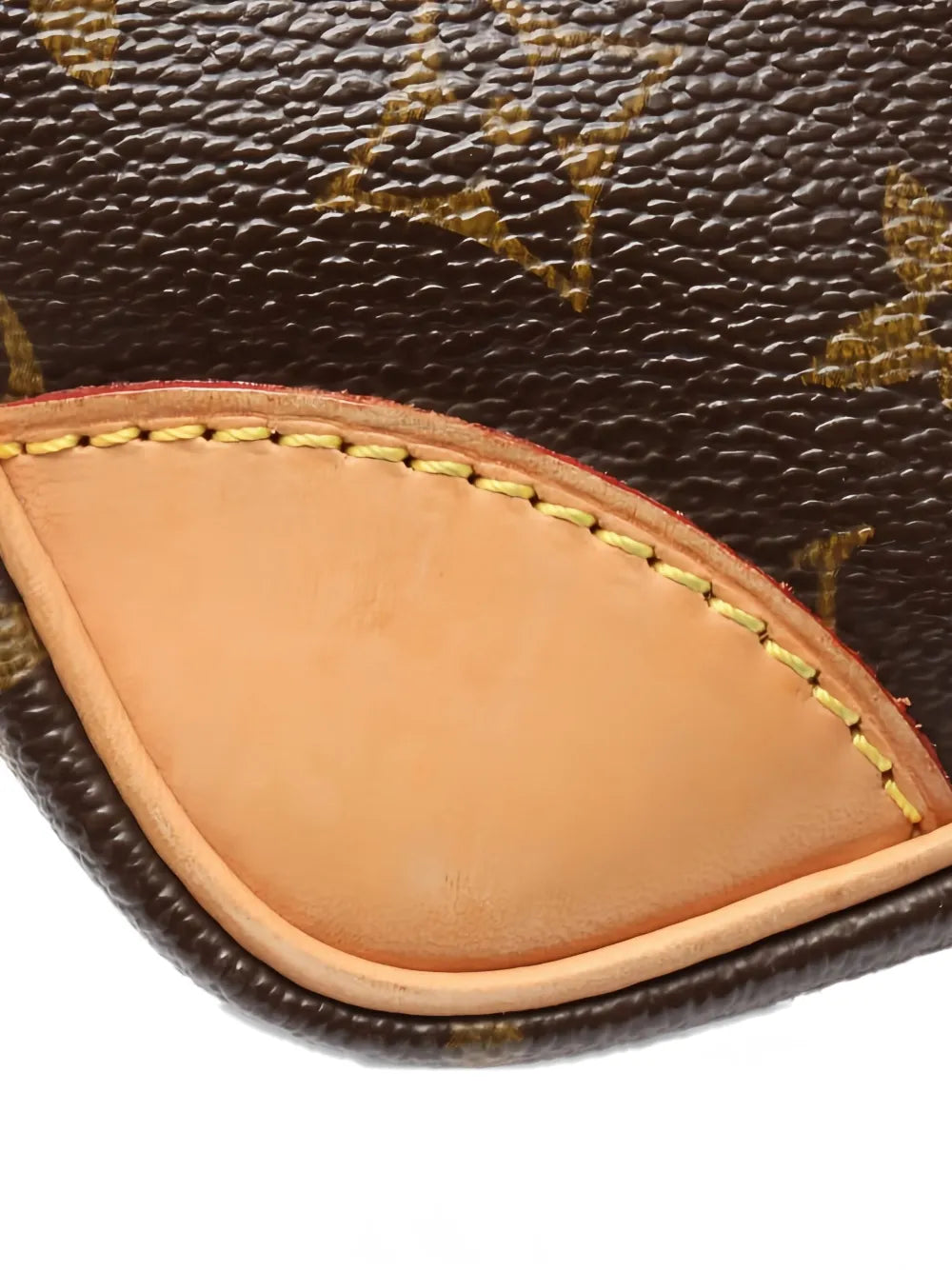 Pre-OwnedLouis Vuitton Pre-Owned2005 Monogram amazon crossbody bag