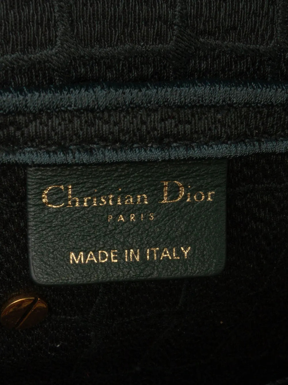 Pre-OwnedChristian Dior Pre-Owned2021 Velvet Embroidered Crocodile Effect Saddle Bag shoulder bag