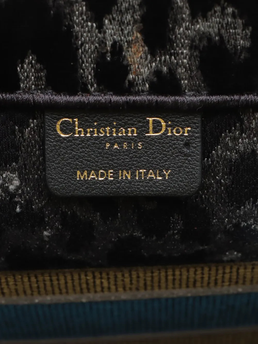Pre-OwnedChristian Dior Pre-Owned2021-2025 Mizza Medium Embroidered Velvet Leopard Book tote bag