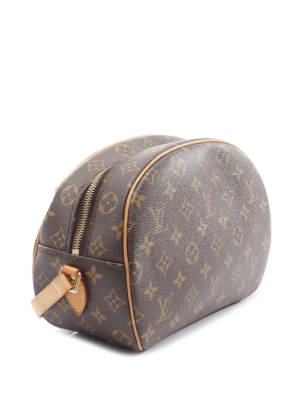 Pre-OwnedLouis Vuitton Pre-Owned2004 Monogram Blois crossbody bag