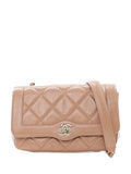 Pre-OwnedCHANEL Pre-Owned2019 Mini Shiny Aged Calfskin Hold The Line Flap crossbody bag