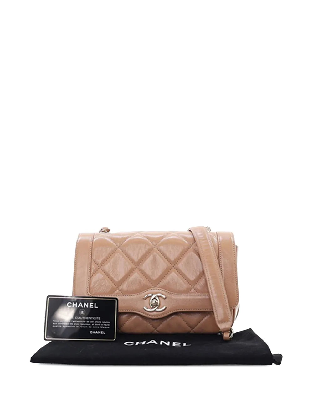 Pre-OwnedCHANEL Pre-Owned2019 Mini Shiny Aged Calfskin Hold The Line Flap crossbody bag