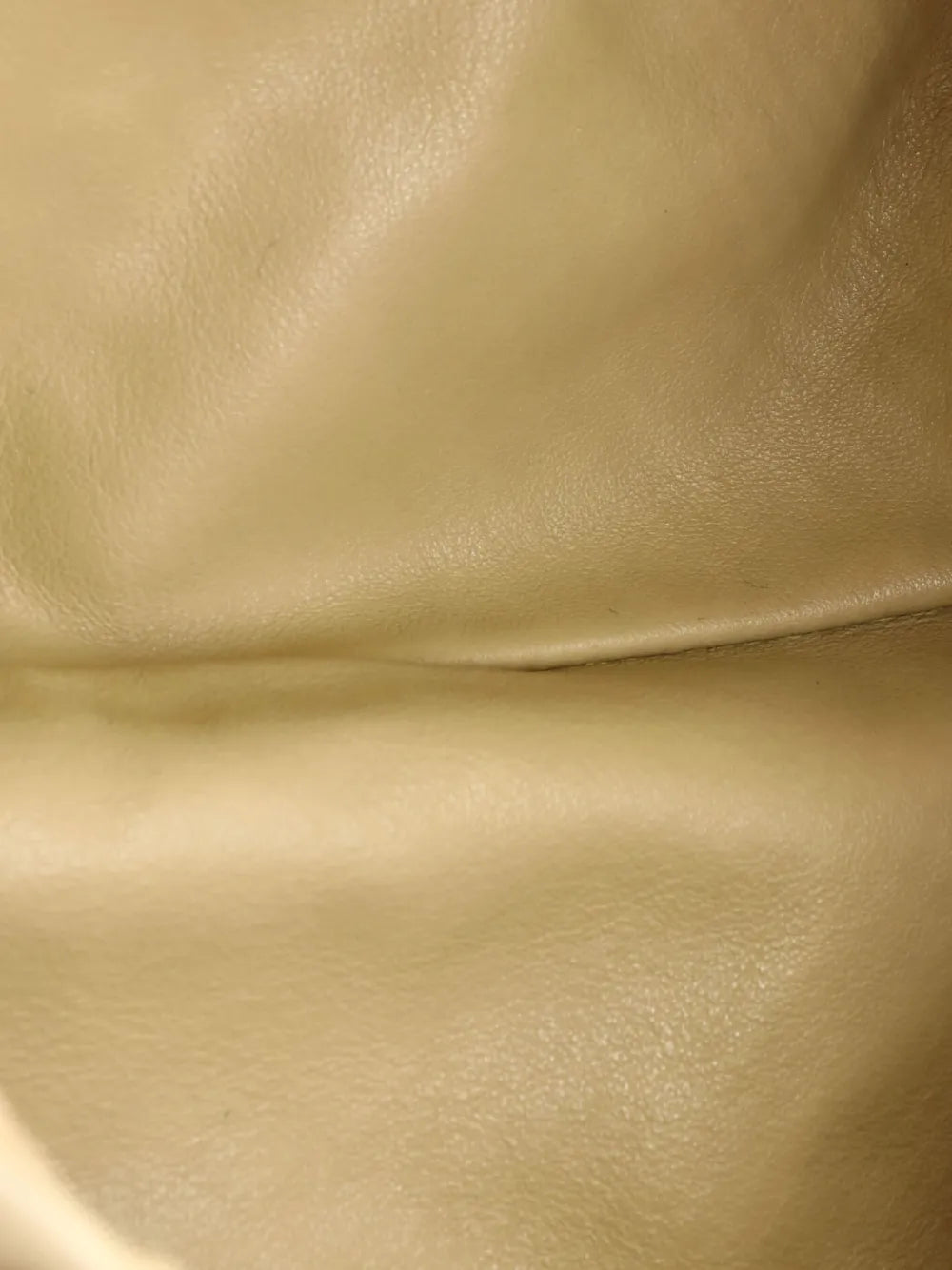 Pre-OwnedBottega Veneta Pre-OwnedThe Chain Pouch Leather Teen shoulder bag