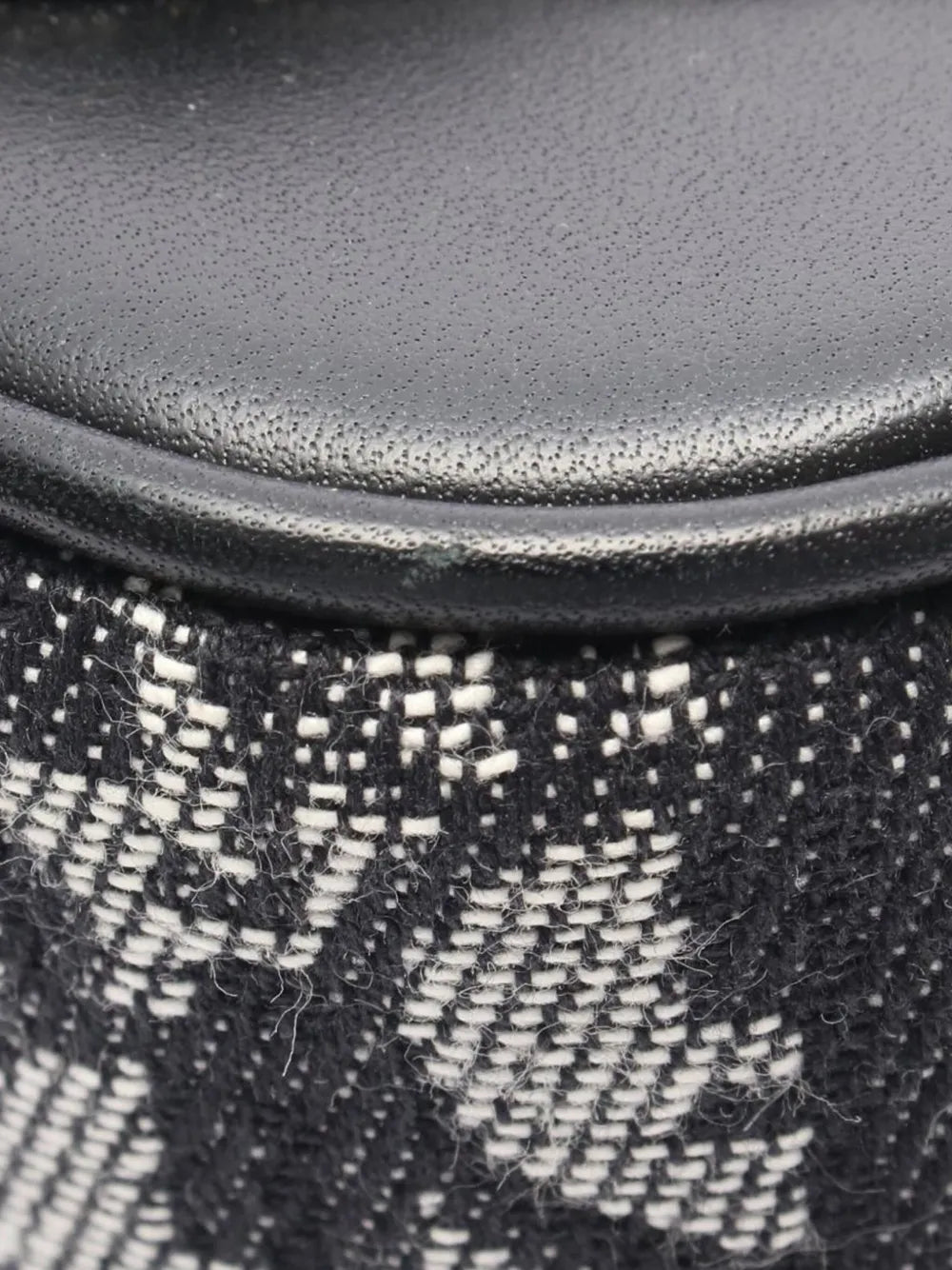 Pre-OwnedChristian Dior Pre-Owned2010-2025 Diorissimo Trotter Canvas Double Saddle Bowler Bag handbag