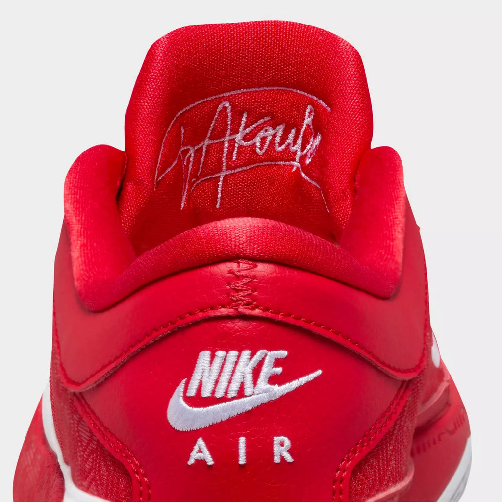 Men's Nike Zoom Freak 5 Team Basketball Shoes