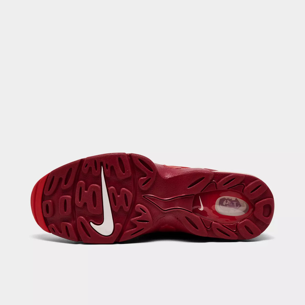 Men's Nike Air DT Max '96 Casual Shoes